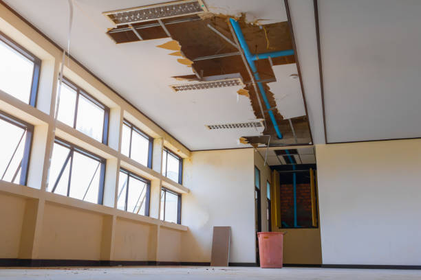 Best Water damage restoration near me  in Natchitoches, LA