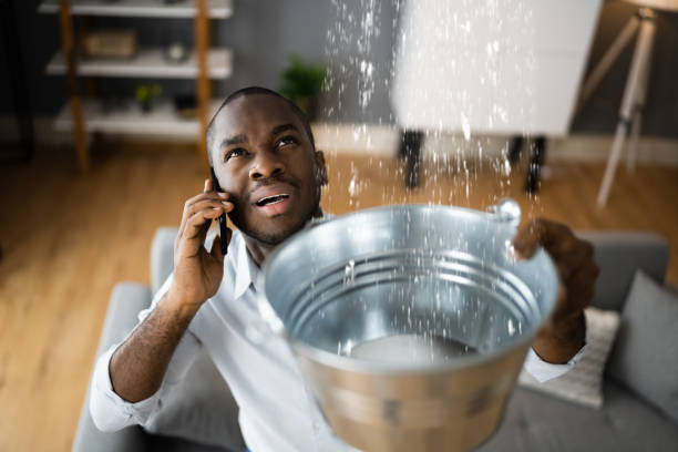 Best Residential water damage restoration  in Natchitoches, LA
