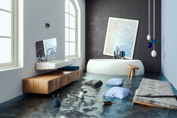 Best Professional water damage repair  in Natchitoches, LA
