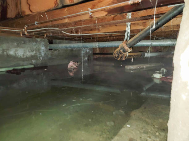 Natchitoches, LA Water damage restoration Company