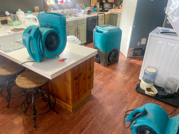 Best Water damage restoration experts  in Natchitoches, LA