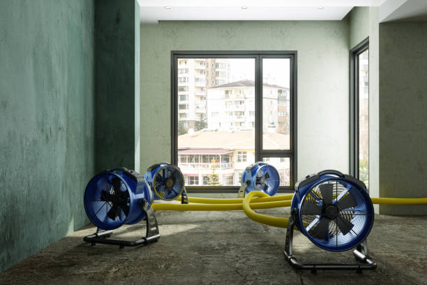 Best Sewage cleanup and water damage restoration  in Natchitoches, LA